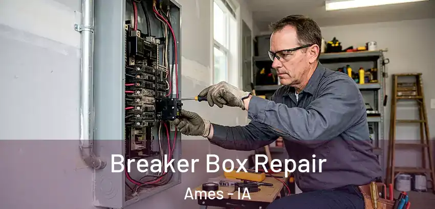 Breaker Box Repair Ames - IA