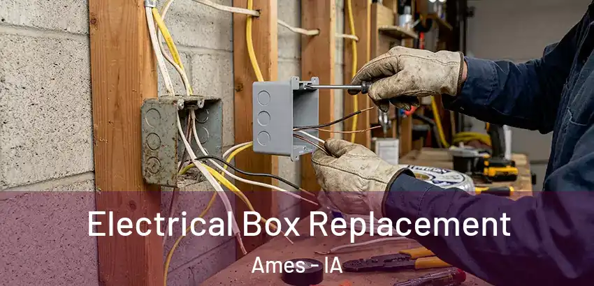  Electrical Box Replacement Ames - IA